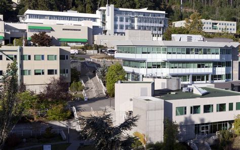 viu campus online.